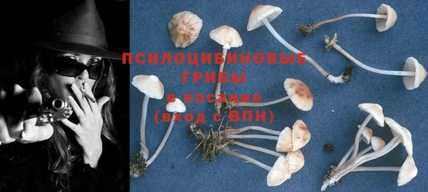 круглые Абаза