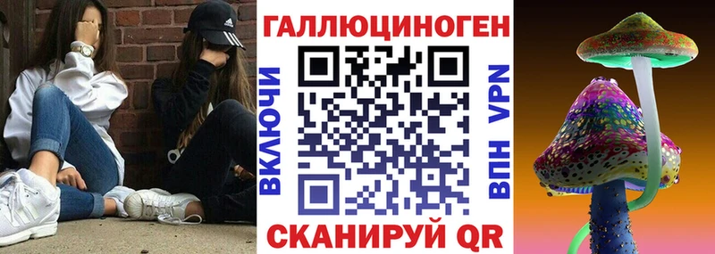 Псилоцибиновые грибы Cubensis  Нюрба 